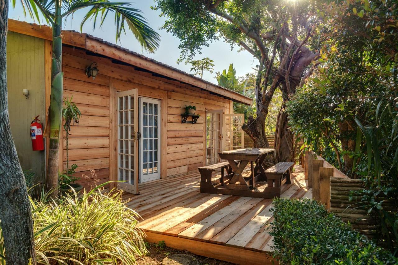 Petite Provence B&B Ballito Rum bild